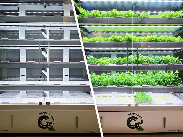 Thumbnail content for the article: 'Micro-farm brings sustainable produce to Selleck Food Court'