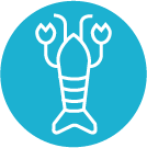 Shellfish allergen icon