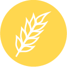 Wheat allergen icon