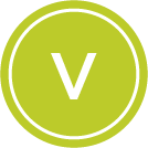 Vegetarian preference icon
